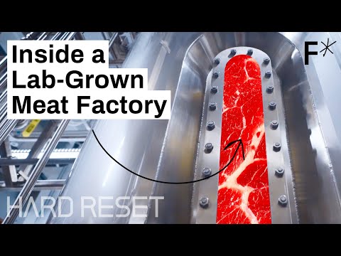 Large-scale, lab-grown meat: Step inside a cultivated meat factory | Hard Reset