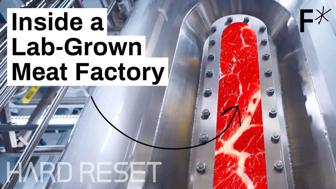 Large-scale, lab-grown meat: Step inside a cultivated meat factory | Hard Reset