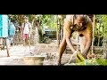 International Award Winning Tamil Short Film Kuppaikkaaran