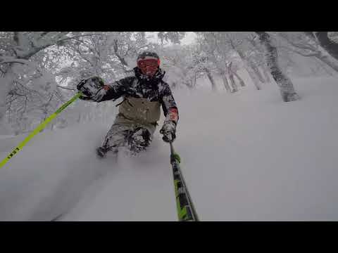 Argentina Gopro Tree Pow Run