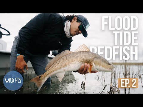 FLY FISHING FOR MONSTER REDFISH | EBBS & FLOWS EP. 2