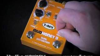 Video thumbnail for T-Rex Effects: MUDHONEY II (Stratocaster to Laney VC50 clean channel) by Brett Kingman