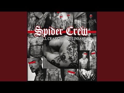 Still Crazy but Not Insane