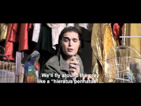 Thumbnail for video: Mami Blue - Trailer Internacional Thumbnail for video: Mami Blue - Trailer Internacional