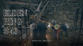 【エルデンリング実況】#43 チャンス！