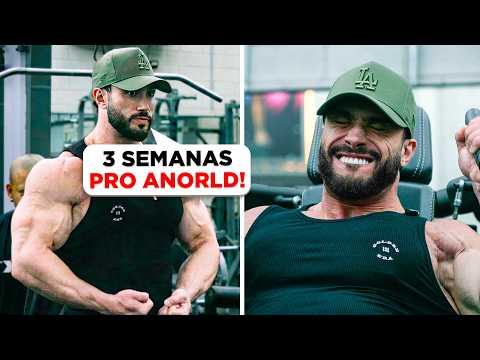 ZANCA NO PUMP ABSURDO!