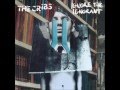 Last Years Snow by The Cribs