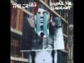 Last Years Snow by The Cribs 