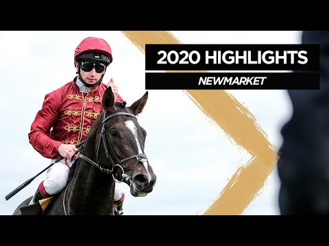 2020 Highlights: Newmarket