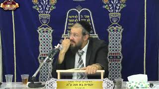 בית המדרש "תורת דוד" ¤ שידור חי ¤ י"ד חשון תשפ"ו (5.11.2025) (מוסדות תורת דוד) - התמונה מוצגת ישירות מתוך אתר האינטרנט יוטיוב. זכויות היוצרים בתמונה שייכות ליוצרה. קישור קרדיט למקור התוכן נמצא בתוך דף הסרטון