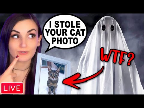Stealing Cat Photos From GHOSTS w/ Gloom & ShowThyme (New Update)