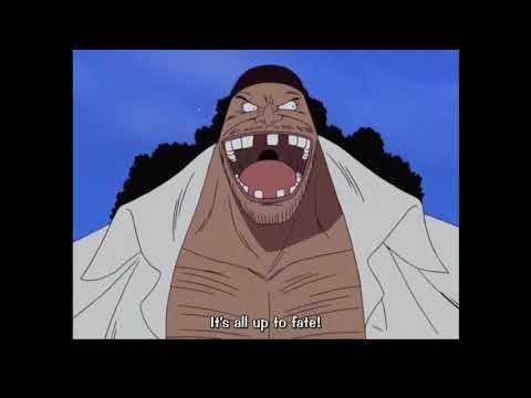 Blackbeard Pirates introduction | One Piece