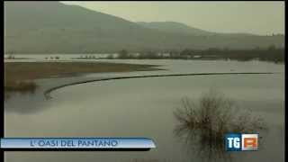preview picture of video 'Un'intesa per il lago Pantano di Pignola'