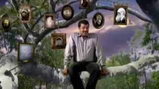 NOVA scienceNOW : 53 - Sleep, First Primates, Earthquakes in the Midwest, Profile: Sang-Mook Lee