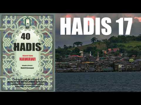 Hadis #17