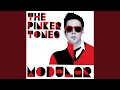 Pinkerland Vibes (Modular Mix)