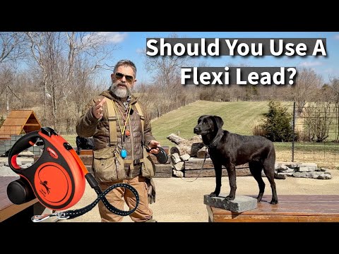Are Flexi Leads (Retractable Leashes) Good For Dog Training?