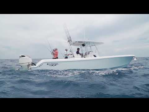 FS Boat Review - Bluewater 355e