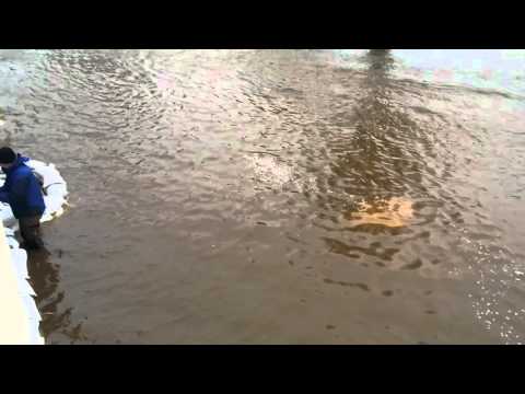 The Tweed Breaks its banks in Peebles 30 Dec 2015