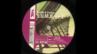 Tumble & Combo ‎– Regression