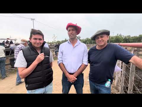 El equipo de M y M Alonso nos cuenta cómo están viendo la actualidad del mercado ganadero