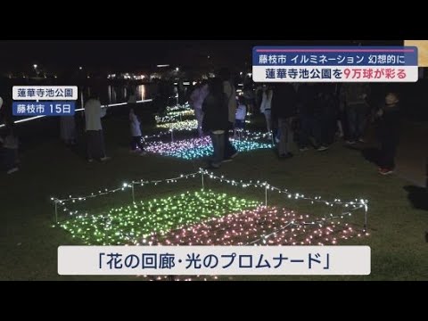 YouTube Video 「花の回廊、光のプロムナード」蓮華寺池公園イルミネーション点灯式　静岡・藤枝市