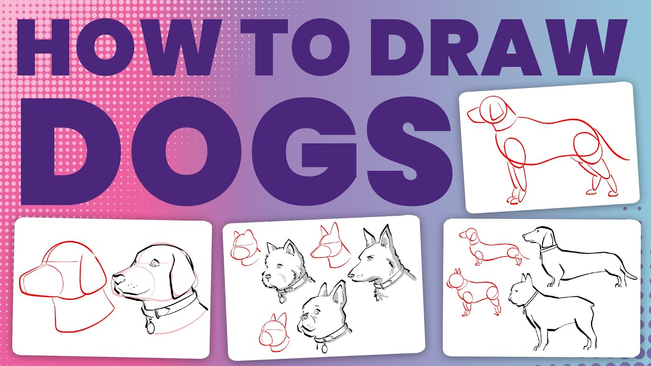 How to draw dogs