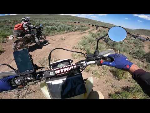 Oregon BDR - July 2023 - Yamaha WR250R