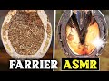 Farrier Asmr Hoof Restoration Oddly Satisfying