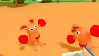 Beers and Boomerangs