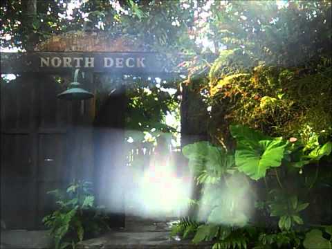 On De Road To Saut D'eau Pt. 1