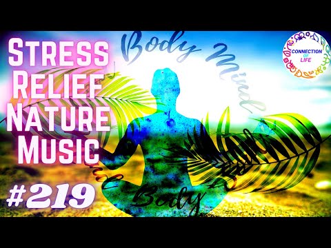 Relaxing Calming Beautiful Nature Meditation Music | Stress Relief Nature Music #219
