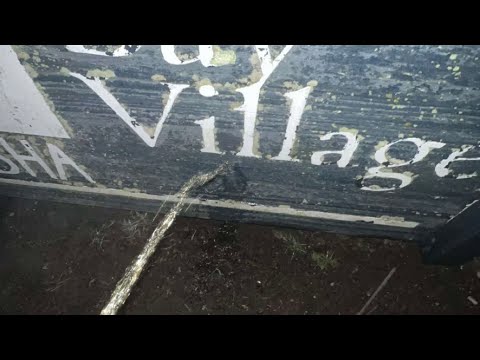 TTK BRY x LANEGANG NELLY x TTK JAY - THE PURGE