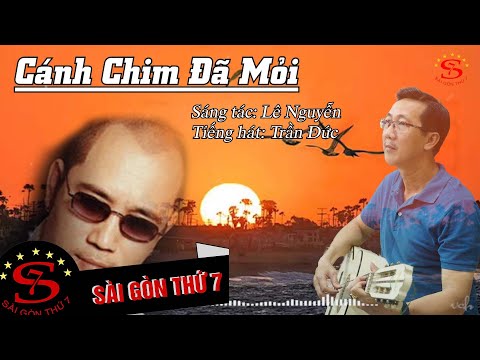 Cánh chim đã mỏi - Trần Đức