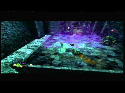 Les Rebelles de la For�t Nintendo DS