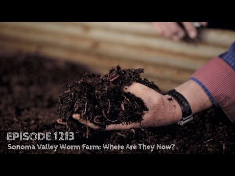 Growing a Greener World Episode 1213 - Sonoma Valley Worm Farm: Where Are They Now?