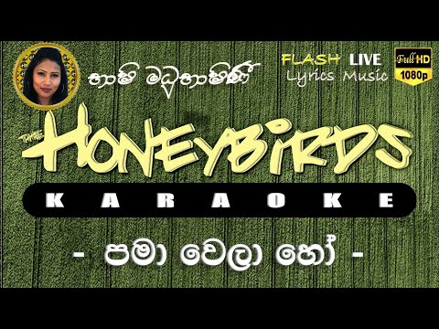 Pama Wela Ho Karaoke (Without Voice) පමා වෙලා හෝ කැරෝකේ