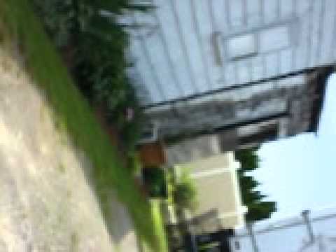 lynne threatening to catch pharaoh again.AVI