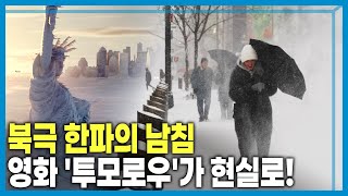 지구가 이상하다? 나무까지 터져버리는 역대급 한파 (KBS_437회_2026.01.31.방송)