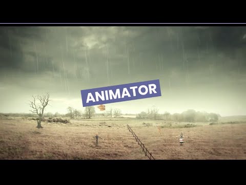 Animator video 2