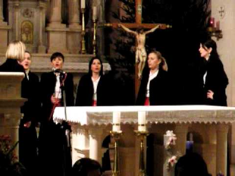 Klapa Neviste - Svim na zemlji