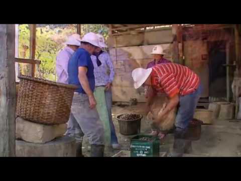 Café de origen Cayundá