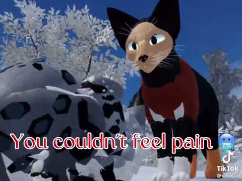 My stick/funny warrior cat meme