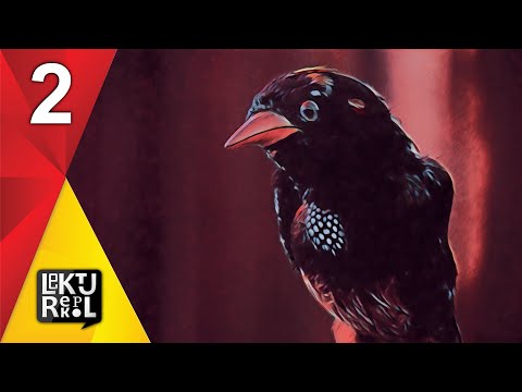 streszczenie - Akademia pana Kleksa - rozdział 2