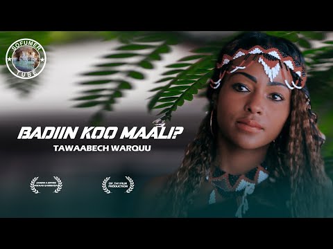 Tawaabech Warquu  Maali badiin koo    New Afan Oromoo Music 2022 Sofumer Tube