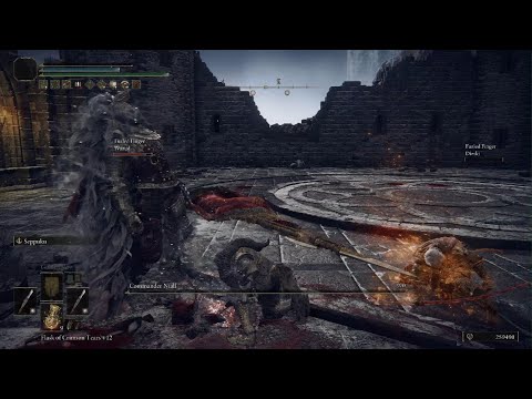 Elden Ring - Commander Niall, NG+7 | Last Man Standing Battle Royale xD