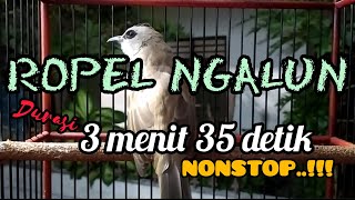 Download lagu ROPEL NGALUN #trucukgacor #ropelmania #trucukan mp3