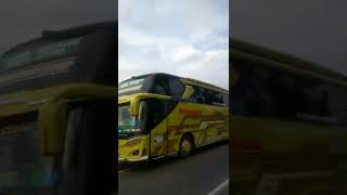 Download lagu Efisiensi Guardian Reborn || #shorts #busmania mp3