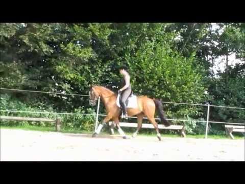 Delicious Boy Verkauflich