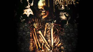 Megaptere - My Beloved Chaos